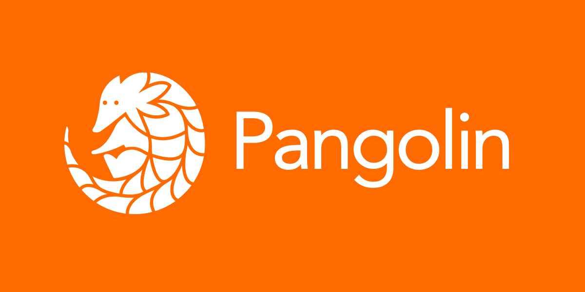 Pangolin'de Nasıl İşlem Yapılır?