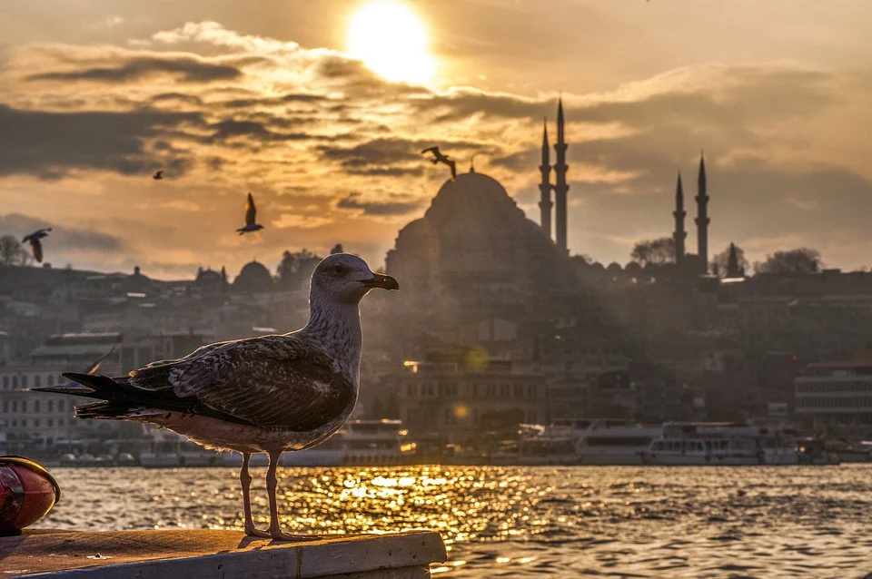 İstanbul İçerisinde Yapabileceğiniz Aktiviteler