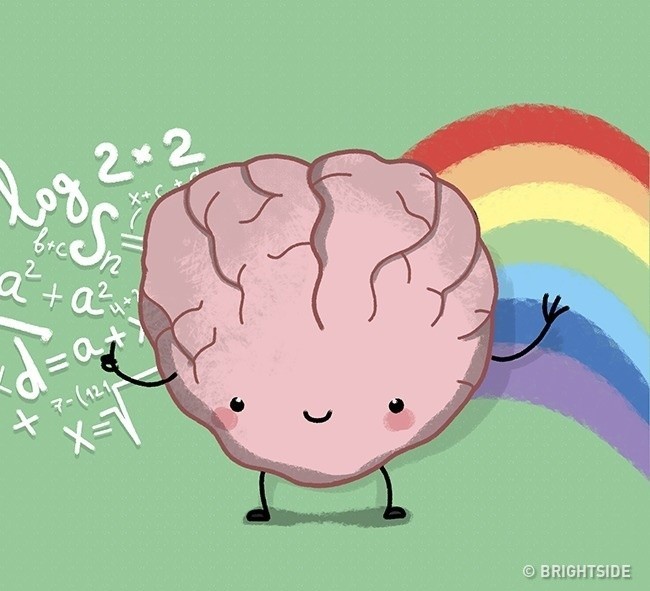 #7: Beynin sol yarımküresi yaratıcılığın, sağ yarımküresi mantığın kaynağıdır